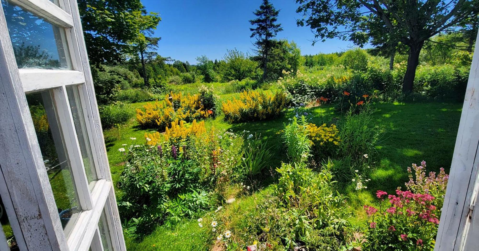 Gite Aux Jardins De L'Anse Bed and Breakfast Percé Exterior foto