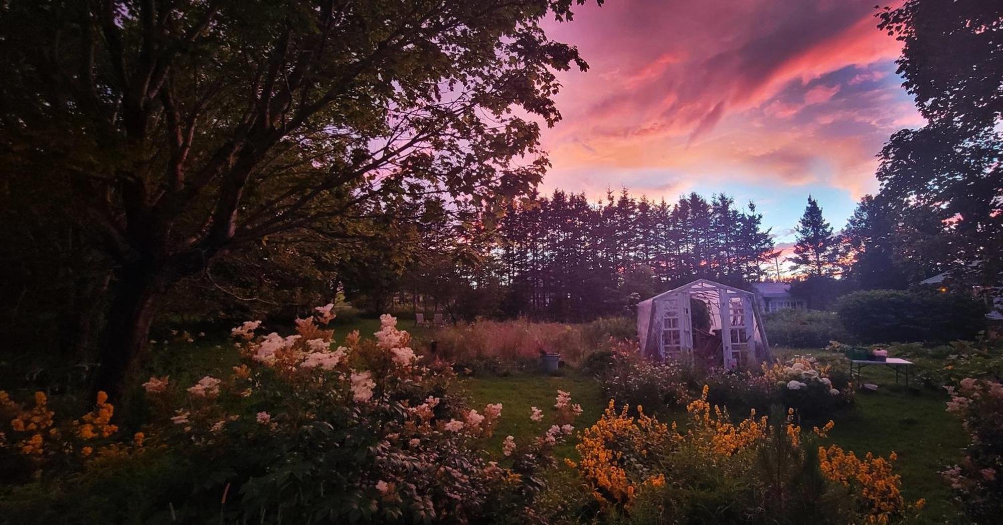 Gite Aux Jardins De L'Anse Bed and Breakfast Percé Exterior foto