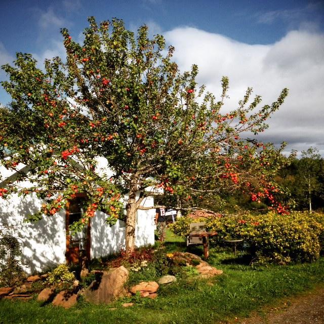 Gite Aux Jardins De L'Anse Bed and Breakfast Percé Exterior foto