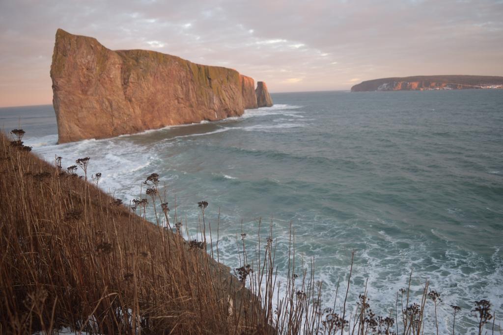 Gite Aux Jardins De L'Anse Bed and Breakfast Percé Exterior foto