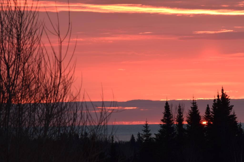 Gite Aux Jardins De L'Anse Bed and Breakfast Percé Exterior foto