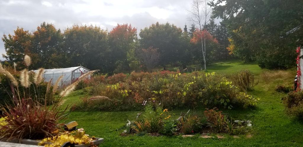 Gite Aux Jardins De L'Anse Bed and Breakfast Percé Exterior foto