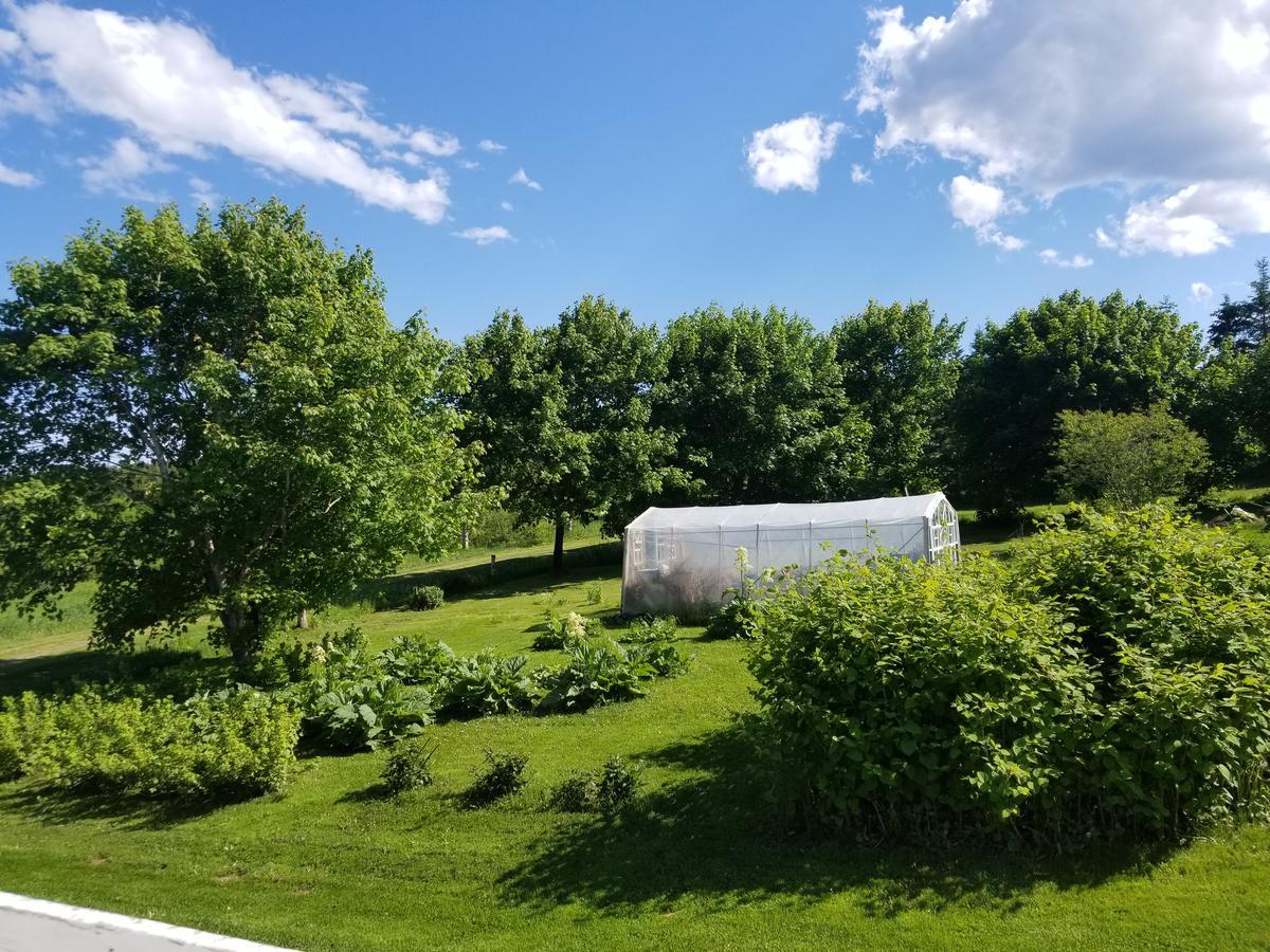 Gite Aux Jardins De L'Anse Bed and Breakfast Percé Exterior foto