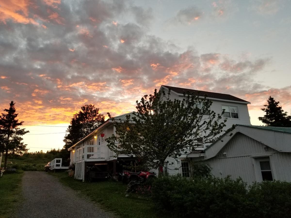 Gite Aux Jardins De L'Anse Bed and Breakfast Percé Exterior foto